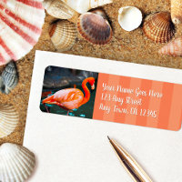 Stylish pink flamingo photo custom script address