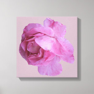 Stylish pink rose fine art by Berglind Jewellery   Canvas Print