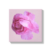 Stylish pink rose modern digital floral boho art