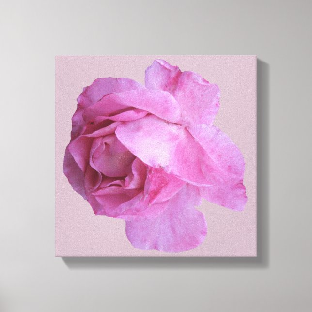Stylish pink rose modern digital floral boho art canvas print (Front)