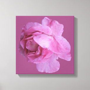 Stylish pink rose modern digital floral boho art canvas print