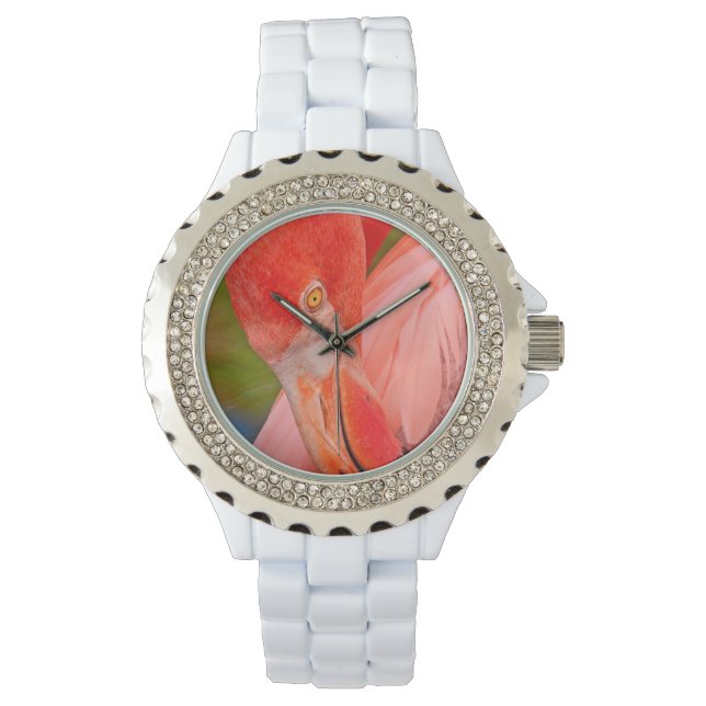 Stylish Preening Pink Flamingo Ladies Watch (Front)