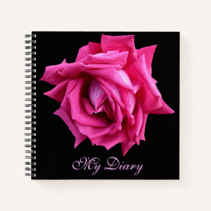 Stylish pretty hot pink rose flower black trendy notebook