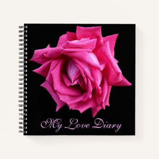 Stylish pretty hot pink rose flower Valentine  Notebook