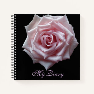 Stylish pretty pink rose flower black trendy boho  notebook