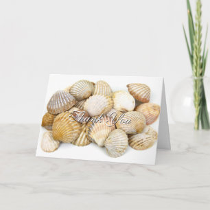 Stylish Sea Shells Thank You Card