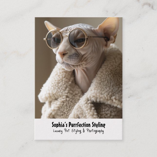 Stylish Sphynx Cat in Sunglasses and Sherpa Coat Business Card (Front)