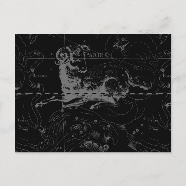 Stylish Vintage Aries Constellation by Hevelius Postcard (Front)