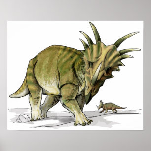 Styracosaurus - Cretacous Dinosaur Poster