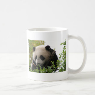 Su Lin, giant panda bear cub at the San Diego Zoo Coffee Mug