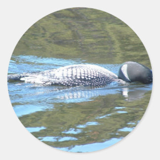 Sub Surface Sleuth Classic Round Sticker