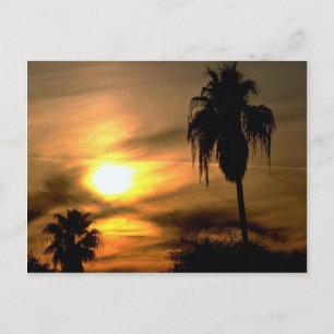 Sub-tropical sunset postcard