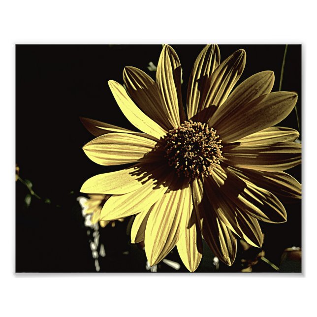 Subdued Yellow 10x8 Photo Print (Front)