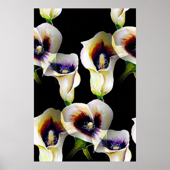 Sublime Watercolor Arum Calla Lilies Poster (Front)