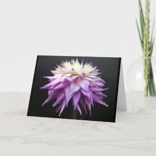 Sublime White and Lavender Purple Dahlia Thank You Card