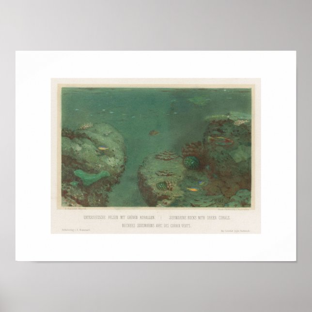 Submarine Rocks With Green Corals Poster(1867) Poster (Front)