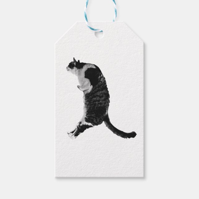 Subtle Cat Tag (Front)