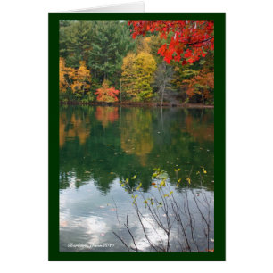 Subtle magnetism in Nature: Walden Pond