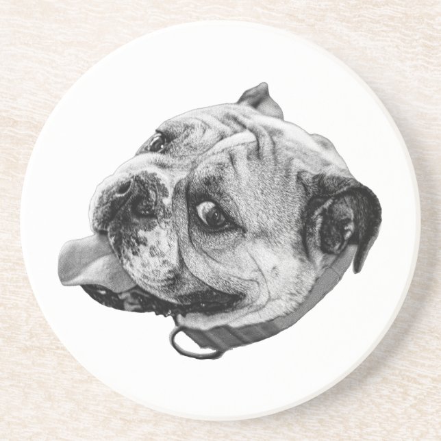 Subtle Pet Detail Coaster (Front)