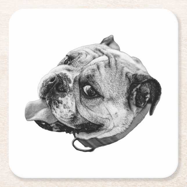 Subtle Pet Detail Square Paper Coaster (Front)