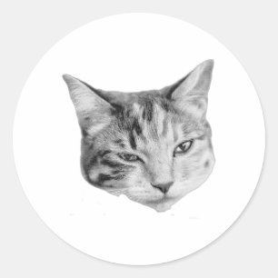 Subtle Wink Classic Round Sticker