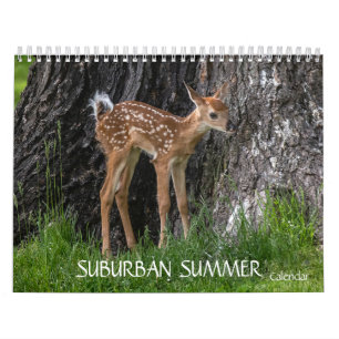 Suburban Summer Calendar