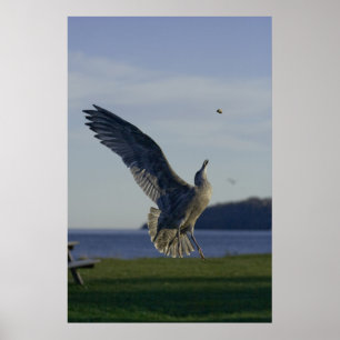 Success Within Reach fine art print