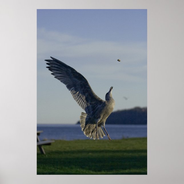 Success Within Reach fine art print (Front)