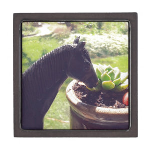 Succulent and a Pony Jewellery Box