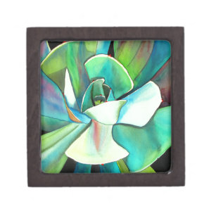 Succulent blue and green desert watercolour art gift box