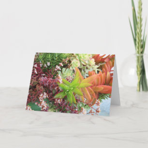 Succulent bouquet card