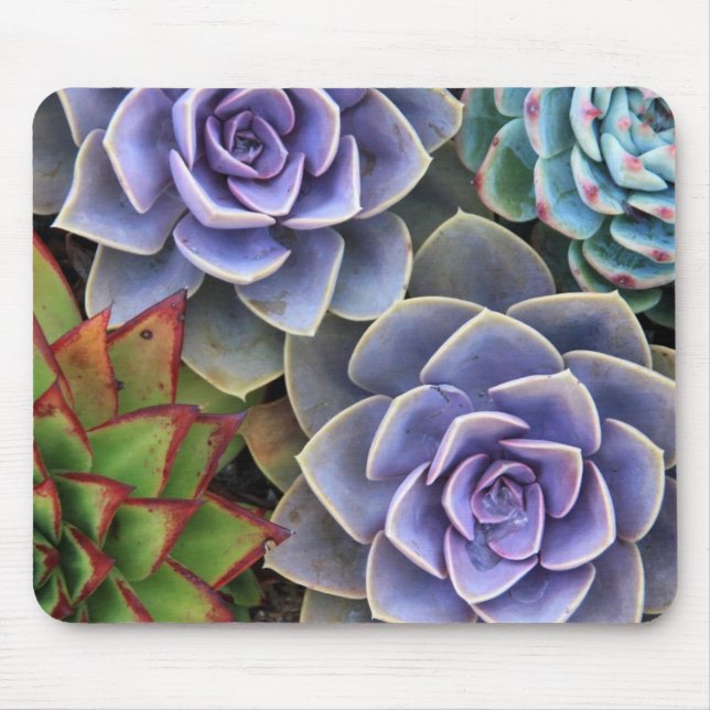 Succulent Bouquet Mouse Pad (Front)