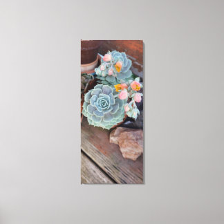 Succulent Cactus Floral Canvas Print