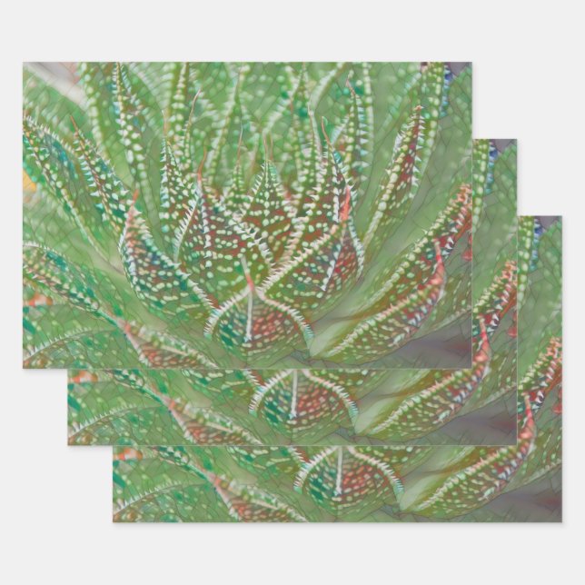 Succulent Cactus Plant Green Stained Glass Art Wrapping Paper Sheet (Set)