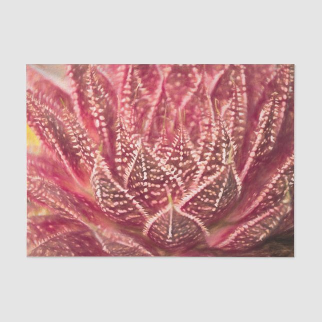 Succulent Cactus Plant Red Botanical Decoupage Tissue Paper (Front)