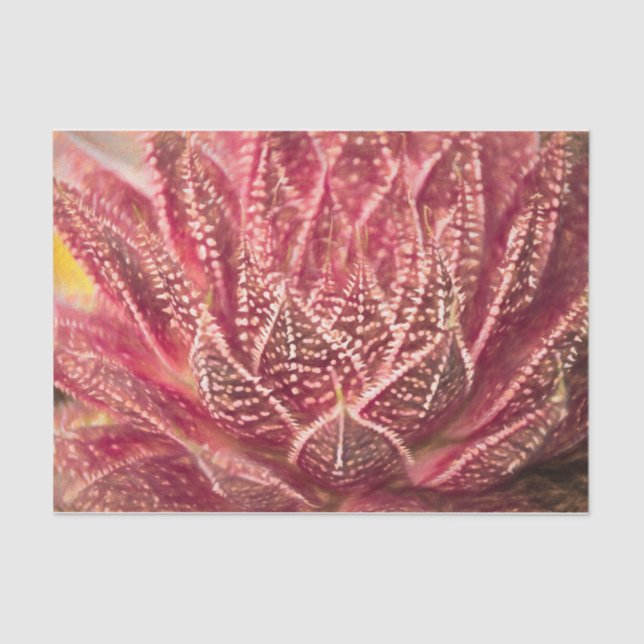 Succulent Cactus Plant Red Botanical Decoupage Tissue Paper (Front)