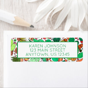 Succulent Cactus Potted Plants Green Cacti Garden