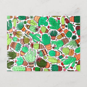 Succulent Cactus Potted Plants Green Cacti Garden Postcard