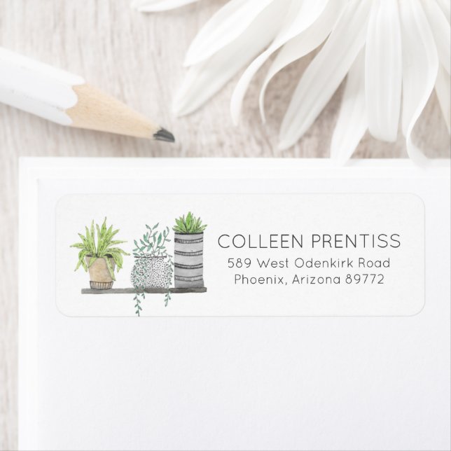 Succulent Cactus Return Address Labels (Insitu)