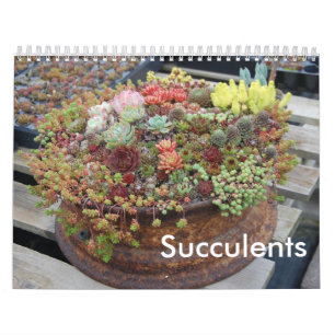 Succulent Calendar