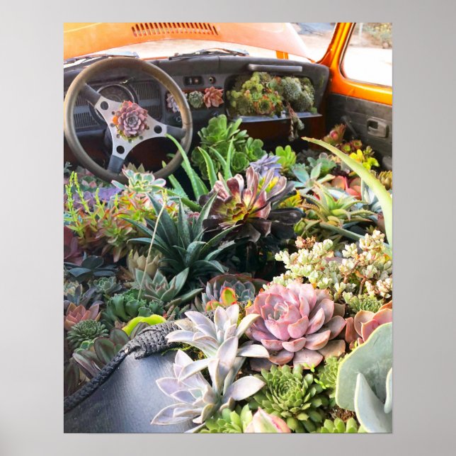 Succulent Car Poster Print (Front)