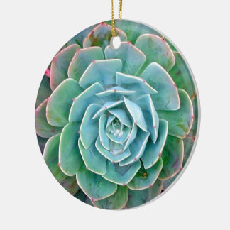 Succulent Ceramic Tree Decoration