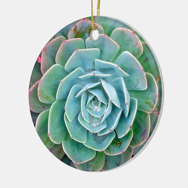 Succulent Ceramic Tree Decoration (Left)