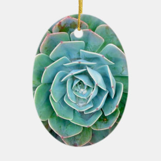 Succulent Ceramic Tree Decoration