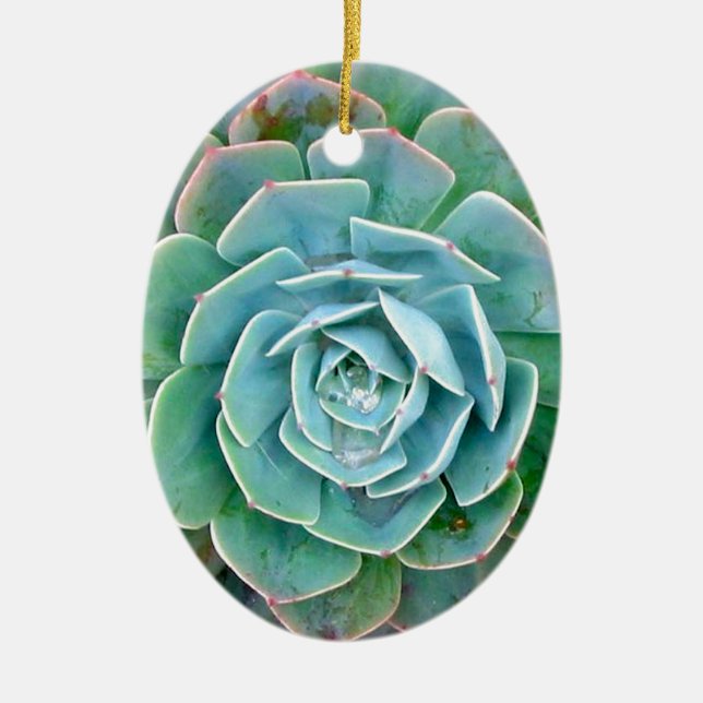 Succulent Ceramic Tree Decoration (Front)