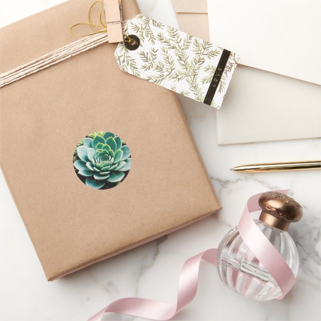 Succulent  classic round sticker (Gifting)