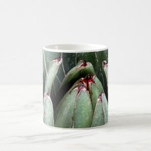 Succulent Close Up Photo Mug