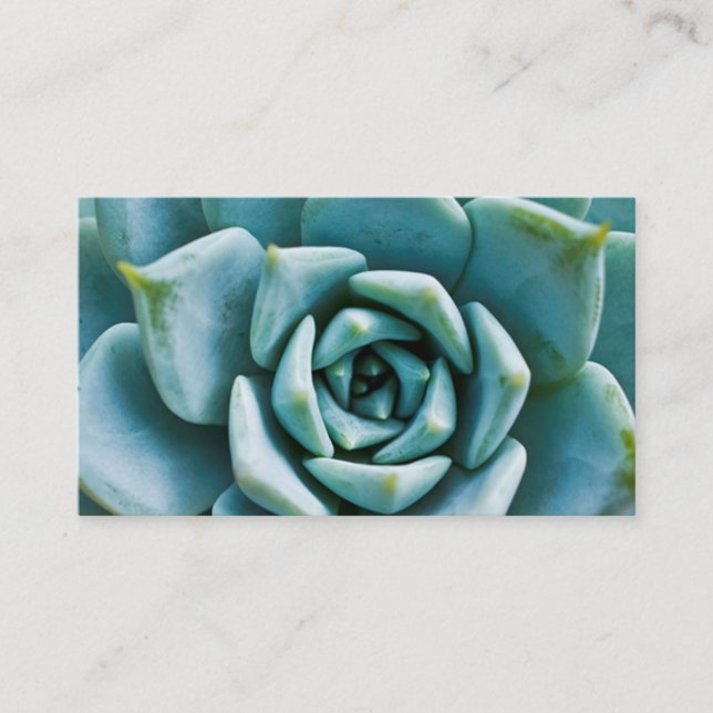 Succulent Closeup Business Card (Front)