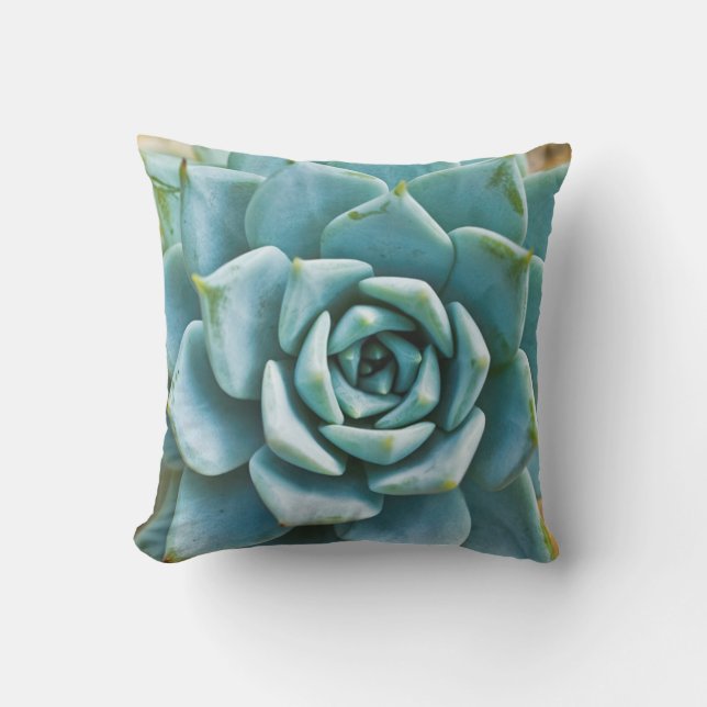 Succulent Closeup Cushion (Front)
