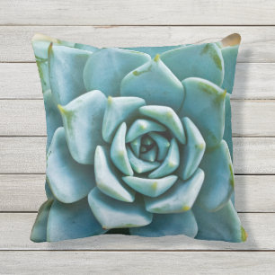 Succulent Closeup Cushion